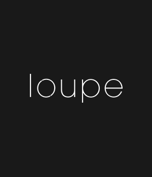 Loupe raises $3M and launches Loupe Business